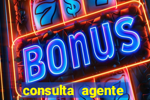 consulta agente autuador sp